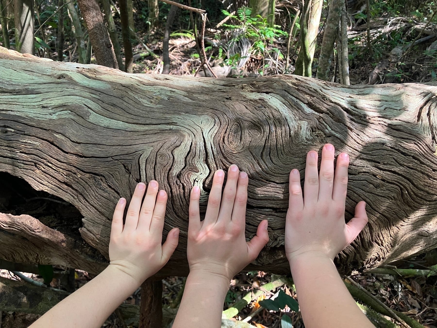 Everglades National Park