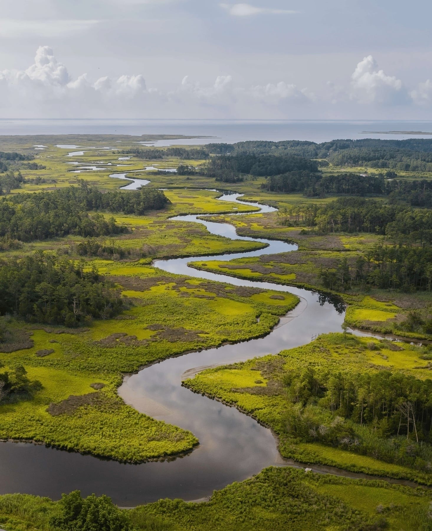 Johnson's Creek by Jay Fleming