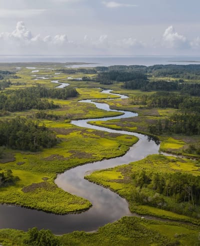 Johnson's Creek by Jay Fleming