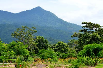 Stay here on earth with me