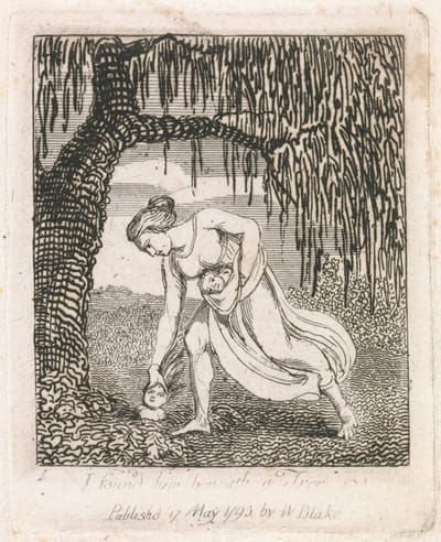 from Blake’s The Gates of Paradise