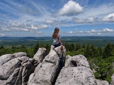 Dolly Sods, western ridge